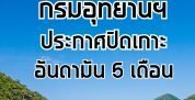 e0b89be0b881e0b89be0b8b4e0b894e0b980e0b881e0b8b2e0b8b0-178x91-3793800
