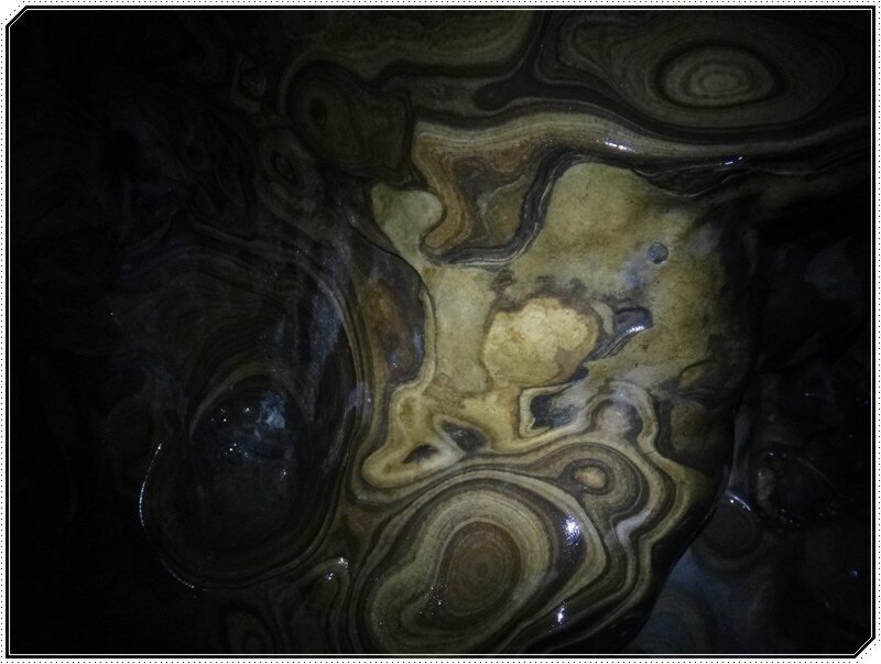snake_canal209-6095441