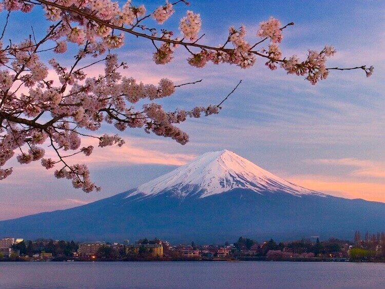 fuji3-1499906