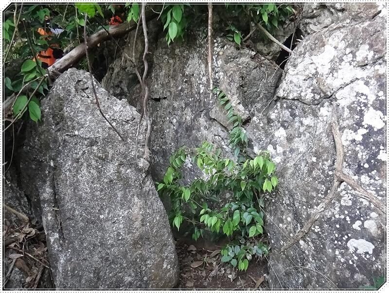 snake_canal2015-3568994