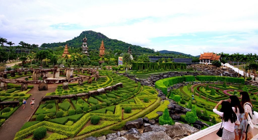 nong-1024x558-8715023