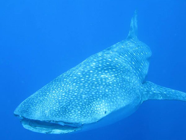 o8crariptex2crkwb0e-o-2202251