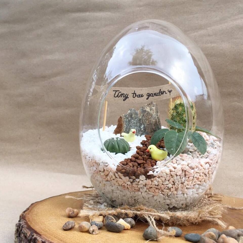 tinytree1-8142236